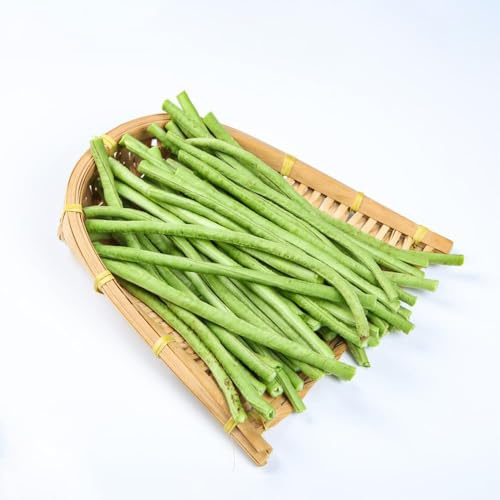 200 piezas medir semillas de frijol - de jardin semillas invierno bonsái