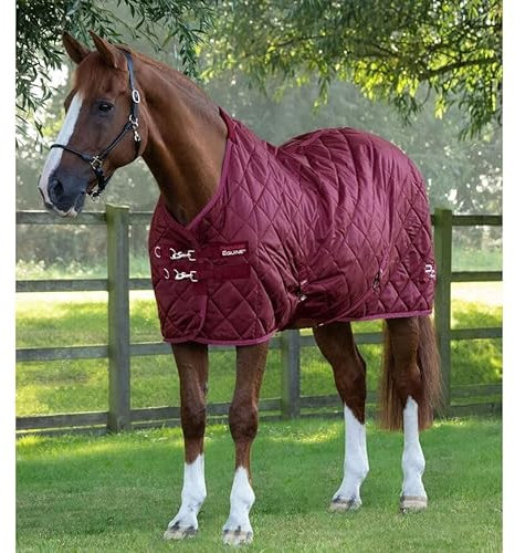 Premier Equine Stable blanket for horses Tuscan 200 g