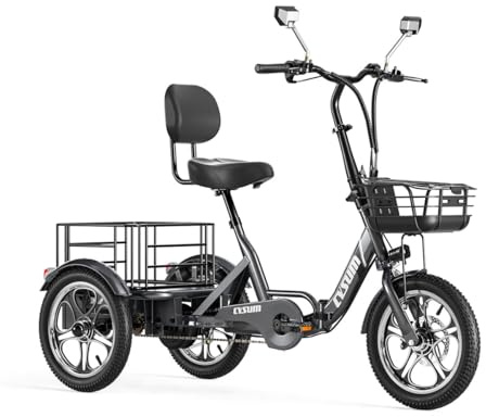 T1 Pro Velo électrique pour Adultes, 3 Roues Pliant Tricycle électrique Homme Femme, Batterie Lithium 48v 22 ah, 16'' Cargo E-Tricycle,Moteur de 250 W