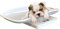 Petyoung Multifunktionale Digitale Haustierwaage, um das Gewicht von Hund und Katze genau bis zu 10 kg zu messen, LCD-Display, Haustier-Waage mit bequem gebogener Schale