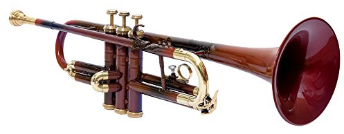 Sound SAGA trumpet BB stigning, premiumkvalitet inklusive munstycke och bärväska (BROWN)