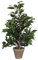 Mica Künstliche Ficus 'Exotica'