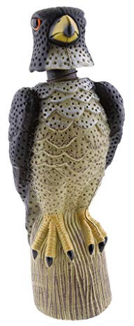 Inzopo Faucon réaliste pour lutter contre les ravageurs de jardin