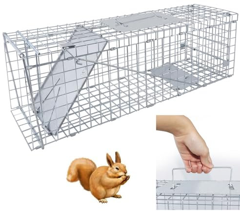 Piège à Animaux Vivants pour Lapin, écureuil, Opossum, mouffette, Chaton, Vison - Piège à Rats pour Attraper et relâcher, piège à Souris pour l'intérieur et l'extérieur.