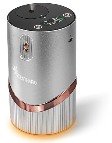 Diffuser Für Ätherische Öle, Duftöl Diffuser - Auto Diffusor 2 Modi, 4 Kaltnebel- und Timer-Einstellungen 1/2/4/6 Std., Automatische Abschaltung Mit Warmer LED (Silberfarben)