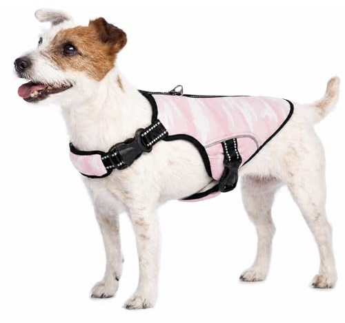 Veste Rafraîchissante pour Chien, Manteau Rafraîchissant Confortable Gilet Réfrigérant d'été avec Bande Réfléchissante pour Petits/Moyens/Grands Chien(Rose, M)