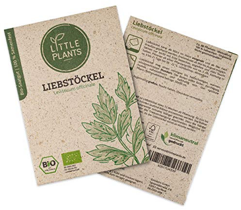 Little Plants BIO Liebstöckel Samen, 80 Liebstöckelsamen, hohe Keimrate, 100% Natürlich, BIO Samen Maggikraut für Kräutergarten Küchenkräuter Hochbeet – BIO Kräutersamen Nachhaltig