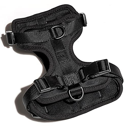 Wild One Dog Harness, The Original No-Pull, Pet Harness with 3 Leash Clips, Adjustable Soft Padded Vest, Comfortable, Stretchy, Size M, Black