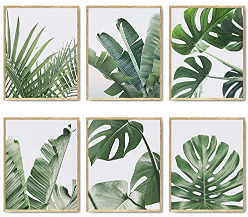 HoozGee Green Botanical Wall Art Print Set of 6 Natural Plant Leaves Home Decor Aesthetic Bathroom Wall Art Canvas Posters Leaf Prints Poster Set (8x10 UNFRAMED, Tropical Leaves Art)