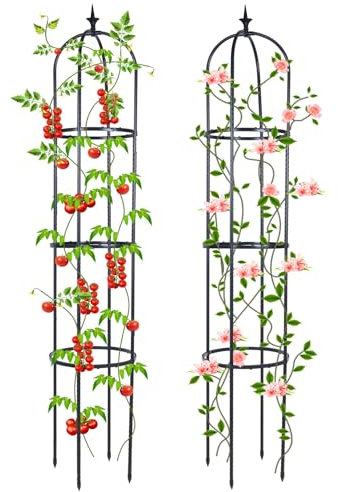 2 Stück Rankhilfe Garten Rankgitter Rankobelisk, Deaunbr Tomaten Rankhilfe Beschichtetes Metall Obelisk Rankhilfe Gartensäule Pflanzen Rankhilfen Ranksäule für Rosen, Tomaten, Kletterpflanzen