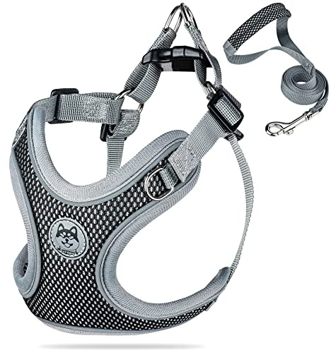 Coolzon Arnés para perro, sin tirones, ajustable, transpirable, con tira reflectante, arnés acolchado para cachorros, para perros pequeños y medianos, para caminar al aire libre, entrenamiento, correr