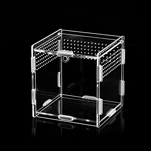 Acrylic Reptile Breeding Box 、Insect Feeding Box ，Portable Crawling Tarantula Transparent Reptile Pet，Enclosure Breeding box for Spider Lizard Scorpion(9 * 9 * 9.5)