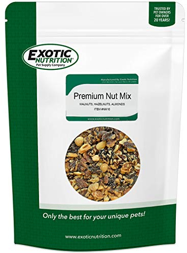 Premium Nut Mix - Unroasted, Unsalted Walnuts, Hazelnuts, Almonds - Food & Treat for Grey Squirrels, Ground Squirrels, Flying Squirrels, Parrots & Other Small Pets (14 Ounce (Pack of 1)