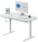 SENSE7 Computertisch Nomo, Schreibtisch 120x60cm, LED Gaming Schreibtisch, Büro Schreibtisch mit USB-C und USB 3.0, Glasoberfläche, höhenverstellbarer elektrischer Schreibtisch mit Schublade und Haken