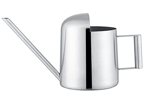 Small Indoor Watering Can for House Plants, Tiny Stainless Steel Plant Mister Bonsai Tree Long Spout Metal Water Sprinkling Tools with Comfort Handle for House Garden Flower (300Ml)