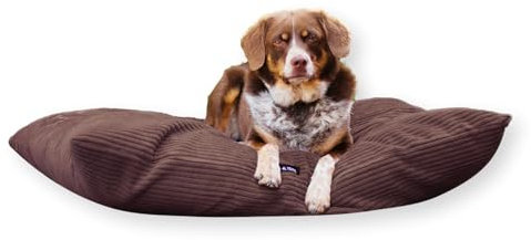 4L Textil ZOE Hundekissen Cord Hundebett Cord Grosse Hunde Hundekissen waschbar mit Bezug Hundekissen Grosse Hunde (100x80 cm, Braun(Stripes))