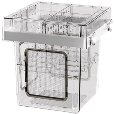 Uppfödningslåda fiskbehållare, akryl klar kläckerikammare, 4 fack sugkopp avdelarsystem, akvarieisoleringsinkubatorenhet, fiskstek avelsskyddslåda, betta räkor Guppy akvarium