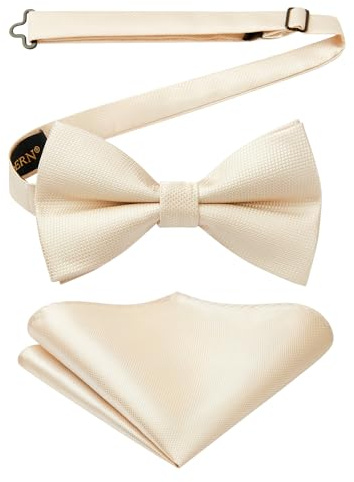 HISDERN Nœuds Papillon Homme Champagne et Mouchoir avec Crochet déjà Lié Réglable Color Sólido Nœuds Papillon et Carré de Poche Ensemble