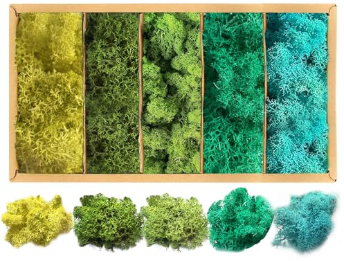 hifrom Musgo decorativo para manualidades, 5 colores, musgo, conserva, musgo de reno, musgo decorativo, musgo artificial, decoración de pared
