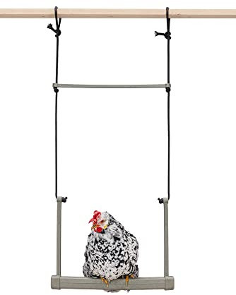 BZ Balançoire pour Poules Gris 40 x 5 x 30 cm