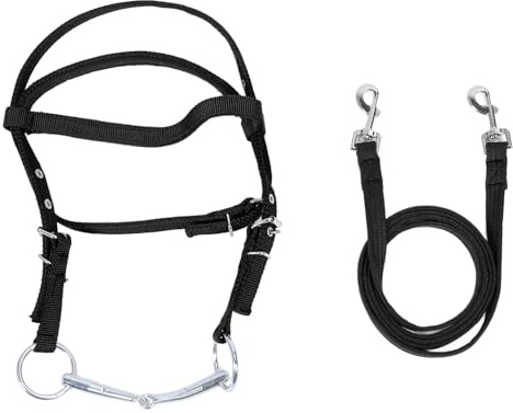 Rêne de Bride de Cheval, Bride de Cheval Réglable et élégante en Nylon avec Rênes, Bride de Front, Bride de Dressage pour L'équitation sur Sentier, Fournitures équines (Grand)