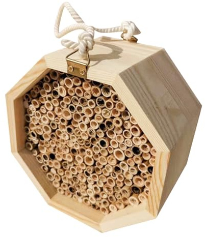 Conjunto De Colmena Madera – Caja De Acoplamiento, Soporte De Propagación De Miel, Estación Apicola Creativa | Casa De Cría De Reina Para Abejas Chinas E Italianas, Accesorio De Soporte Para