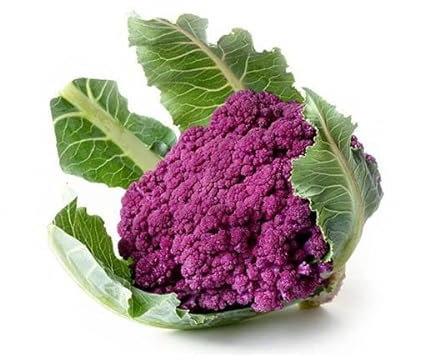 La zappa Semi di cavolfiore piante per orto e giardino (Siciliano Natalino, Violetto)
