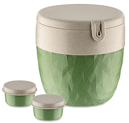 BENTOBOX L Bentobox nature leaf green