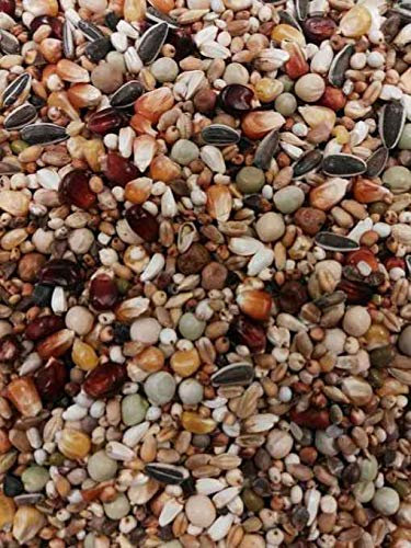 Eurital BTS Allround Topp Taubenfutter 20kg