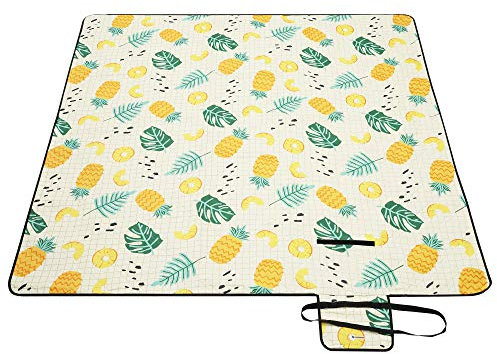 SONGMICS Manta de Picnic, 200 x 200 cm, Alfombra de Picnic para Playa, Parque, Patio, al Aire Libre con Capa Impermeable, Lavable a Máquina, Plegable, Patrón de Piña GCM087Y01