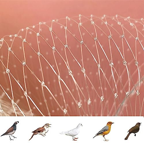 Filet Anti Oiseaux en Maille Filet de Protection Jardin, Filet Anti Pigeon Transparent, Filet Anti-Oiseaux pour Balcon, Bassin, Fruits, Légumes et Plantes, Oiseaux Contrôle(Size:5m x 5m)
