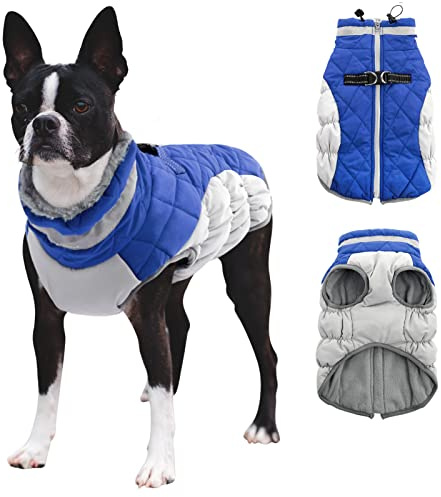 CITÉTOILE Abrigo de Invierno para Perros, Chaqueta Impermeable con Arnés y Forro Polar, para Perros Pequeños, Azul, Talla S