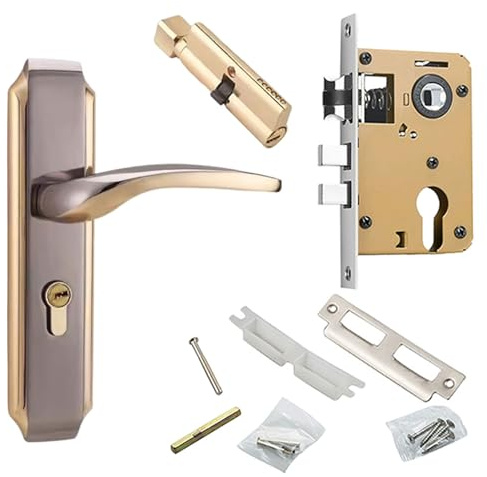 TingHaoO Maniglia per porta d'ingresso con leve per porte di sicurezza, ricambio antifurto in acciaio inox, interno di ricambio e antiruggine