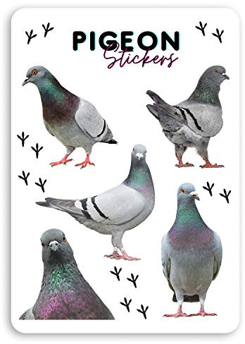 1 feuille A5 de stickers en vinyle avec pigeon - Autocollant cadeau pour pigeons #34896_A5 (A5)