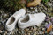 Posiwio 1 Paar Pflanz-Schuhe aus Zement, Garten-Deko Pflanzschuhe, 30 x 11,5 x H 14cm