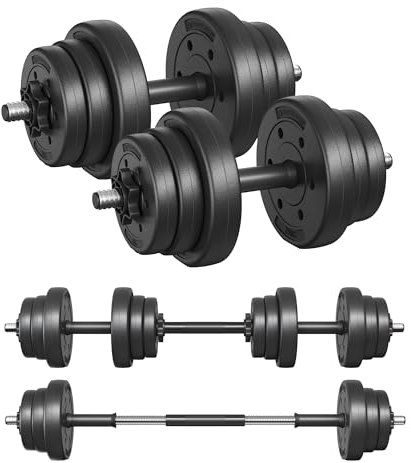 SONGMICS 2-in-1-Hanteln, Hantelset, Kurzhanteln, mit Verbindungsstahlrohr, 2 x 10 kg, Workout, Fitnesstraining, Gewichtheben für Zuhause, Fitnessstudio, tintenschwarz SYL20HBK