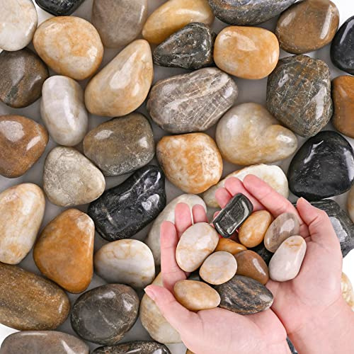 Pebbles for Indoor Plants 3.5 LB Small River Rocks 1-1.5 Polished Decorative Stones Smooth Aquarium Gravel for Fish Tank Vases Planters Outdoor Landscaping Garden (56oz)