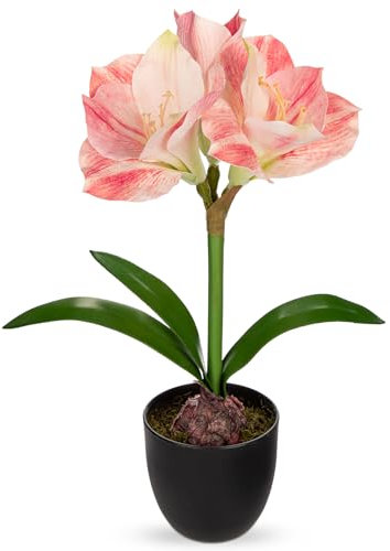 Arborus Pink Amaryllis Artificial Flowers in Black Pot 17.3 Tall Fake Amaryllis Plant Indoor with Decorative Bulbs Moss Faux Flower Arrangement for Home Office Bathroom Table Holiday Décor
