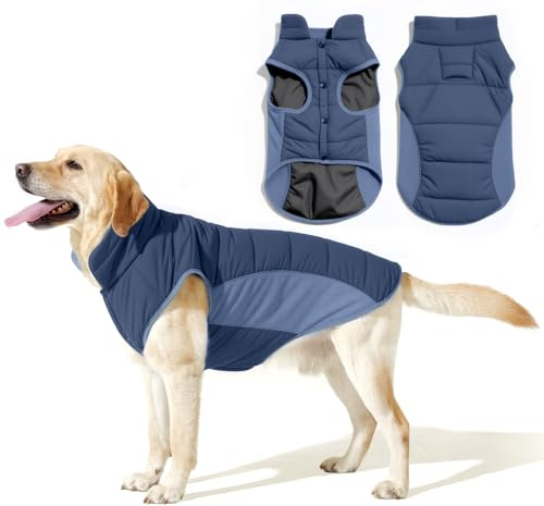 Poiinvc Manteau pour Chien avec Harnais Veste d'hiver Imperméable Réfléchissante Confortable et Chaud Design à Boutons Côtés Élastiques Taille S à XXXL
