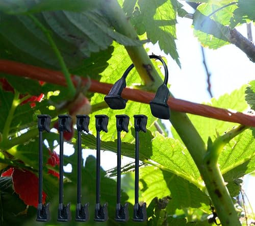 Tomate, Traube, Himbeere, Kiwi Rankenclip Garten Pflanze Stützclip Gemüse Fester Haken Pflanzenschloss Rankenschnalle geeignet für 9#-12# Draht (200)