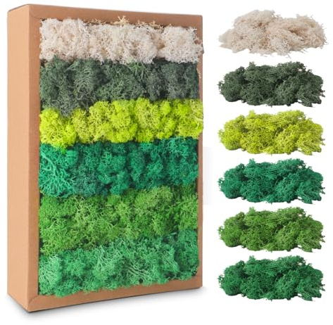 Musgo Preservado, Musgos Decorativos Imitados en 6 Colores Diferentes, 200 g, Musgo Natural Preservado Decorativo, Musg para Manualidades, Simulación de Musg para Hogar Decorar