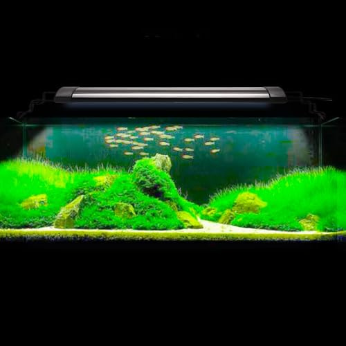 Kedia Akvariebelysning, 24 W LED-akvariebelysning för sötvattentank, fisktankljus för 90–110 cm planterad tank