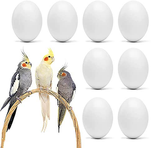 WOLEDOE 8Pcs Fake Bird Eggs, Stop Egg Laying fit Cockatiels, Green Cheeks, Lovebird, Ringneck Dove, Lorikeet, Bourke Parakeet, Quaker Parrots