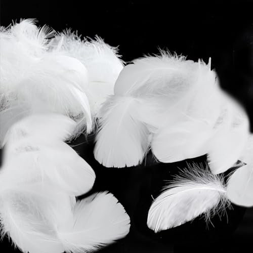 Ormromra 300 Stück Weiß Deko Federn, Federn zum Basteln, Federn Basteln, Engelsflügel zum Basteln, DIY Federn Basteln Dekoration für Christmas, Hochzeiten, Traumfänger, Kopfschmucksfedern