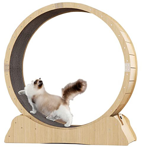 Katzenlaufrad Laufrad Katze, Katzenlaufrad für Wohnungskatzen, Auch als Kratztonne Verwendbar - Mit Sperren, Massivholz Natur, Grauer Teppich, Teilweise Montiert,XL