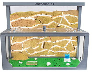 AntHouse - Natürliche Ameisenfarm aus Sand 3D | Modell L (Sandwich + Futterbox) Grau | Inklusive Ameisenkolonie