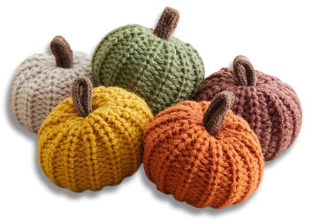 Your Heart's Content MINI Knit Pumpkins Set of 5, Fall Favorite, Gifts for Women, Autumn Bowl fillers Fall Farmhouse Tier Tray Decor, Decorative Pumpkins for Friend (Autumn Set)