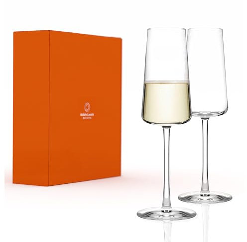 Stölzle Lausitz Coupes à Champagne Power Lot de 2, 275 ml – Verres en Cristal Éléguants pour Champagne, Vin Mousseux & Prosecco – Verres à Champagne Haut de Gamme – Lavable au Lave-Vaisselle