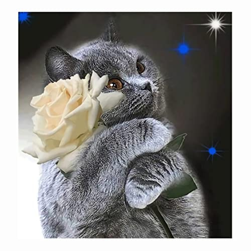 Cukol Kreuzstich Set Vorgedruckt Erwachsene Katze Rose, Stickvorlagen Stickbilder Vorgedruckt Kreuzstich Stickpackungen Stickpackung Stickbild Stickset Sticken Set für Erwachsene 11ct Cross Stitch Kit