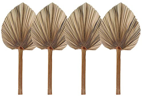 Abanicos de palma seca natural con hojas de palma secas, decoración de fiesta para colgar en la pared, decoración de boda, diseño de lanzas de palma, decoración de boda (4 piezas)